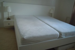 DSCN0251