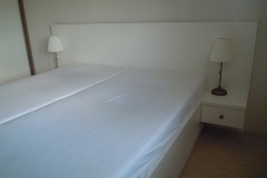 DSCN0252